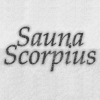 Sauna Scorpius<br />Porto